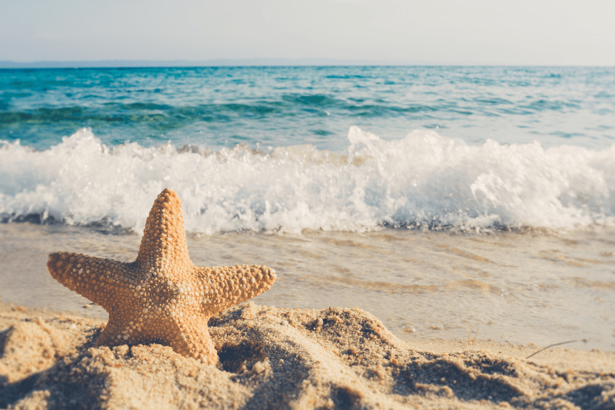 Shanghumugham Beach – A Serene Escape in Thiruvananthapuram