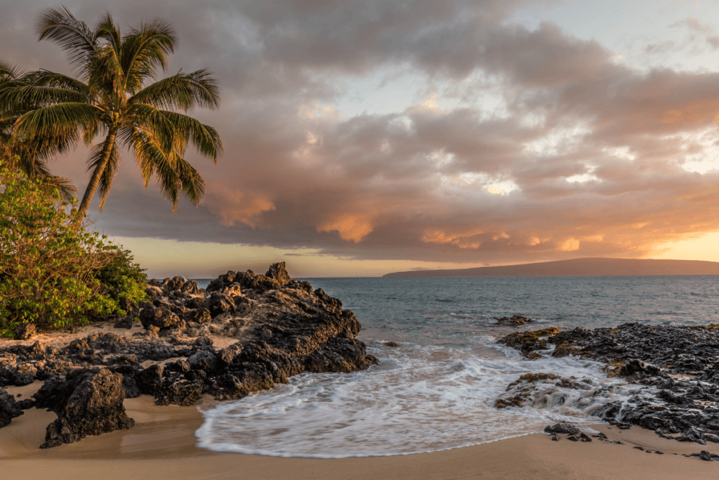 Discover the Charm of Kovalam Beach: A Coastal Paradise You Can’t Miss 1 Select Poovar Beach– Where Backwaters Meet the Arabian Sea Poovar Beach– Where Backwaters Meet the Arabian Sea